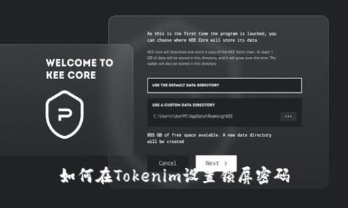 如何在Tokenim设置锁屏密码